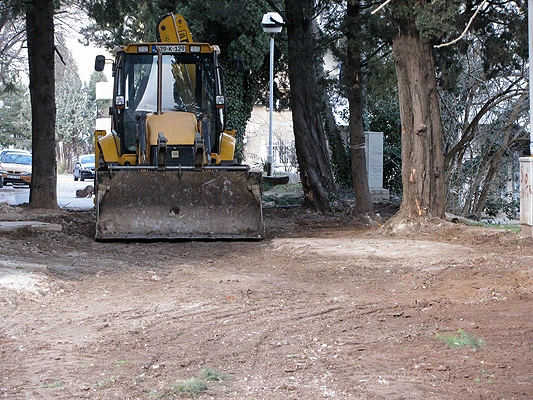 Parking in, zelenilo out