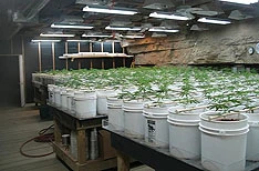 Pronađen improvizirani laboratorij za proizvodnju droge