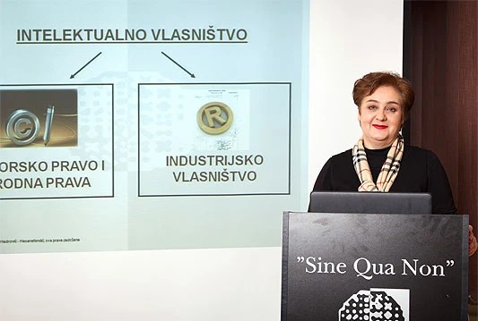 Agencija ''Sine qua non'' organizirala skup o zaštiti autorskih prava na internetu