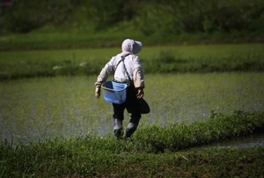 EU: Mjere usvojene nakon potresa u Japanu ostaju