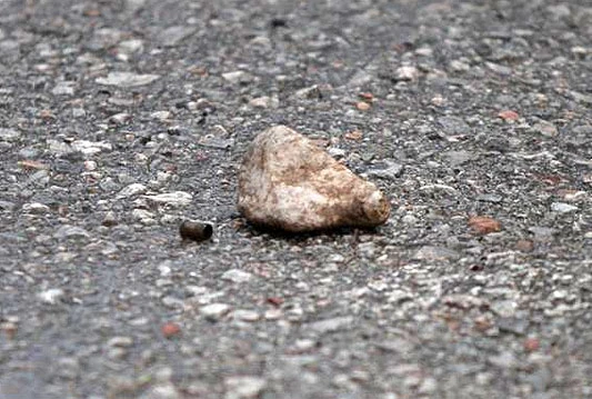 Burna večer u Sarajevu: Svađa, tučnjava, ranjavanje, pljačka...