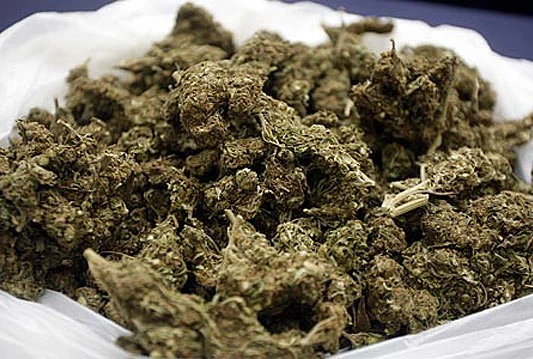 Orašje: Šest osoba lišeno slobode, oduzeto oko 10 kilograma skunka