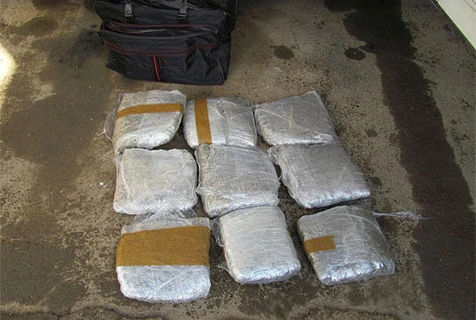 U Orašju šest osoba lišeno slobode, oduzeto oko 10 kg skunka