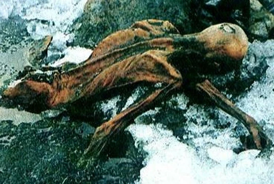 Otkriven najstariji uzorak ljudske krvi
