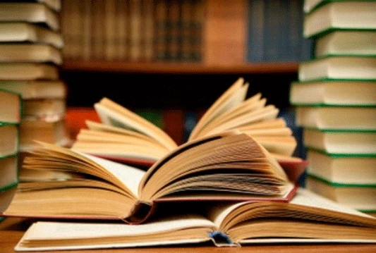 Predstavljena knjiga ''Čitanje Bosne i Hercegovine'', Ludvika Kube