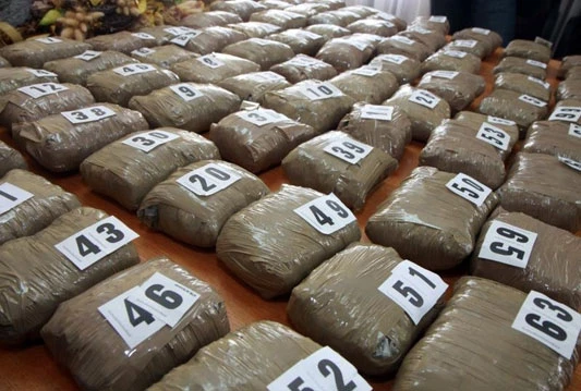 Zapljena 151,5 kg marihuane
