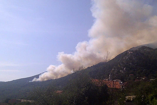 Gori šuma na području Vrgorca