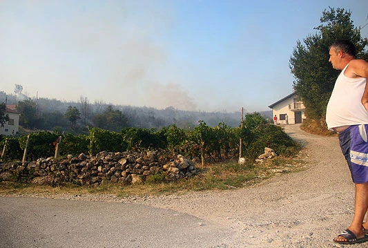 Požar zaprijetio kućama u čitlučkoj općini