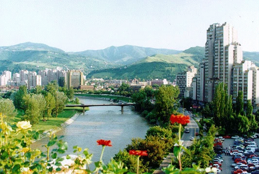 Psi koji vole Zenicu