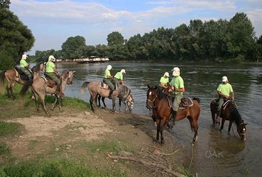 Kozaci na konjima od Moske do Pariza
