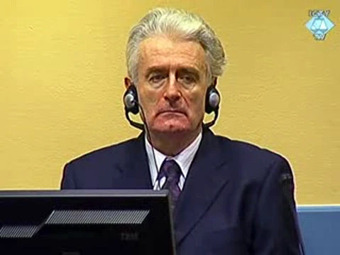 Karadžić traži novo suđenje