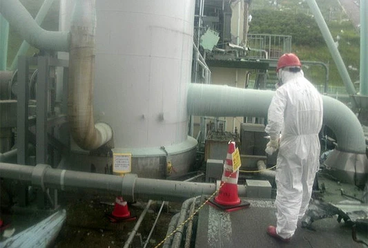 Nakon Fukushime otkriveni mutirani leptiri