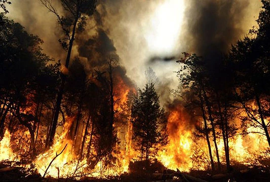 Nevesinjska općina: Vatra se širi prema planini Crvanj
