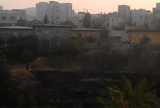 Gorilo i u Ulici Mile Budaka