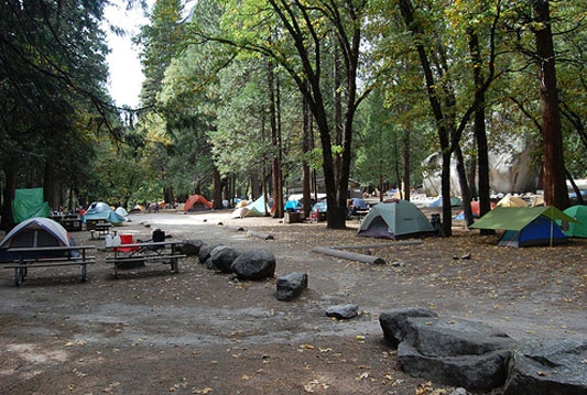 Panika u SAD: 10.000 kampera moglo bi biti zaraženo hantavirusom