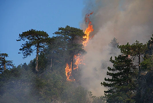 I dalje najteža požarna situacija u općinama Jablanica i Konjic