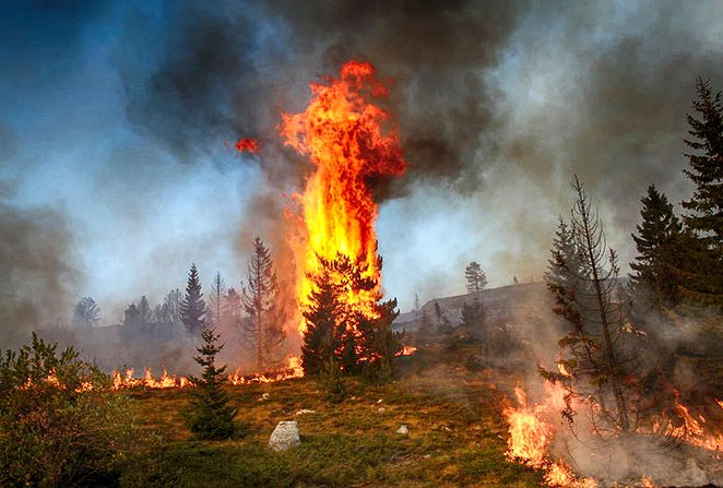 Jablanica - požar na Risovcu: stanje i dalje kritično, kanaderi i jutros iznad Sovića