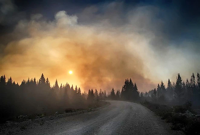 Šumski požari nanose ogromne štete zdravlju ljudi, biljnom i životinjskom svijetu ...