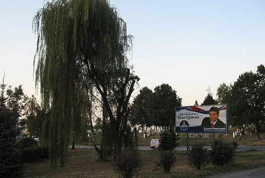 Posjekli pola drveta da se bolje vidi ''budući načelnik''