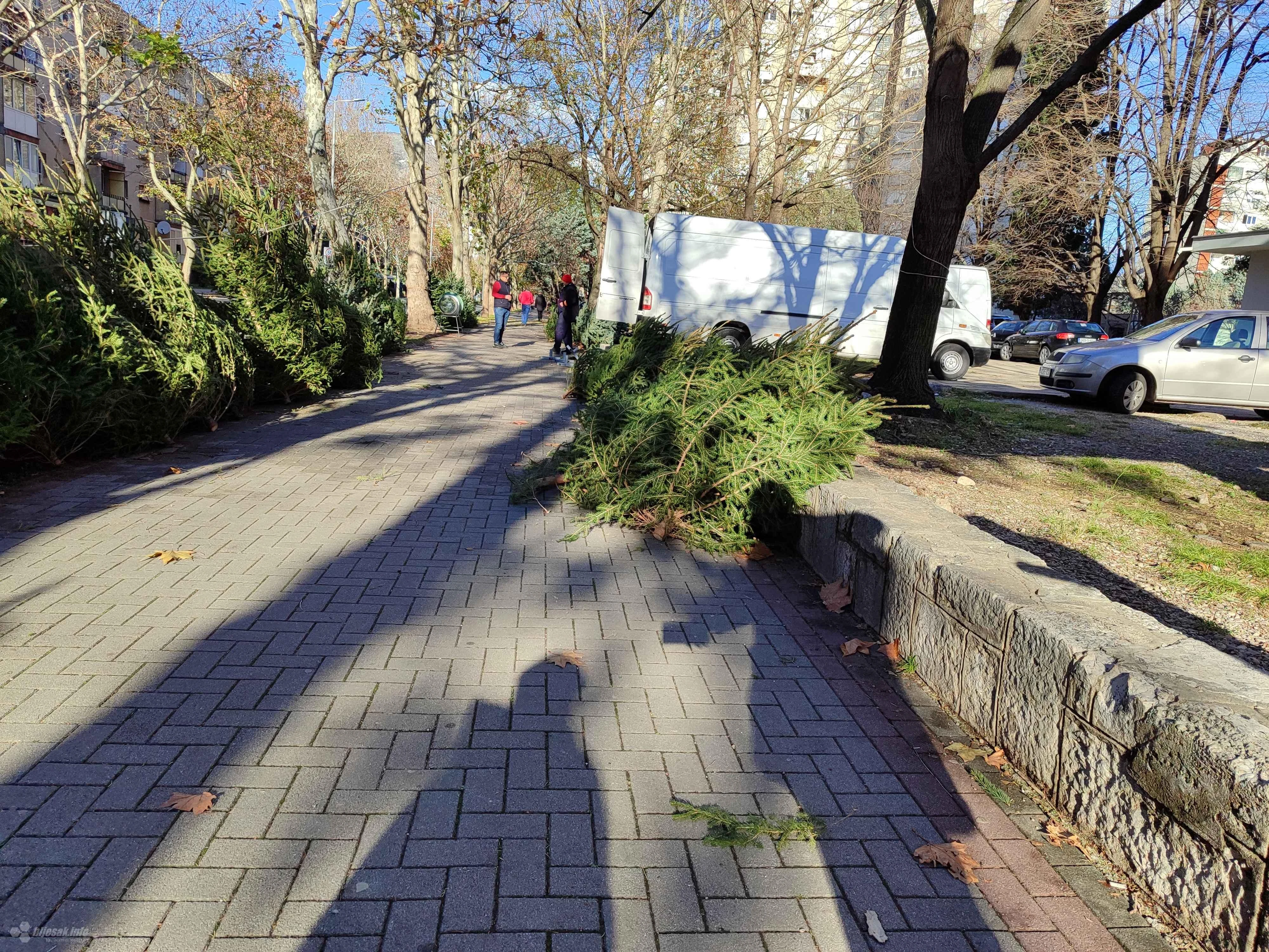 Kićenje bora u Mostaru: Umjetni ili živi, izbor je na vama