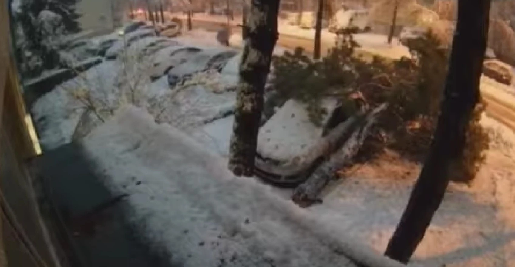 VIDEO: U Banja Luci drvo palo na pješaka