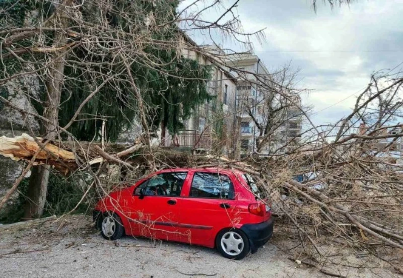 Trebinje: Vjetar čupao stabla, oštećeno više automobila 