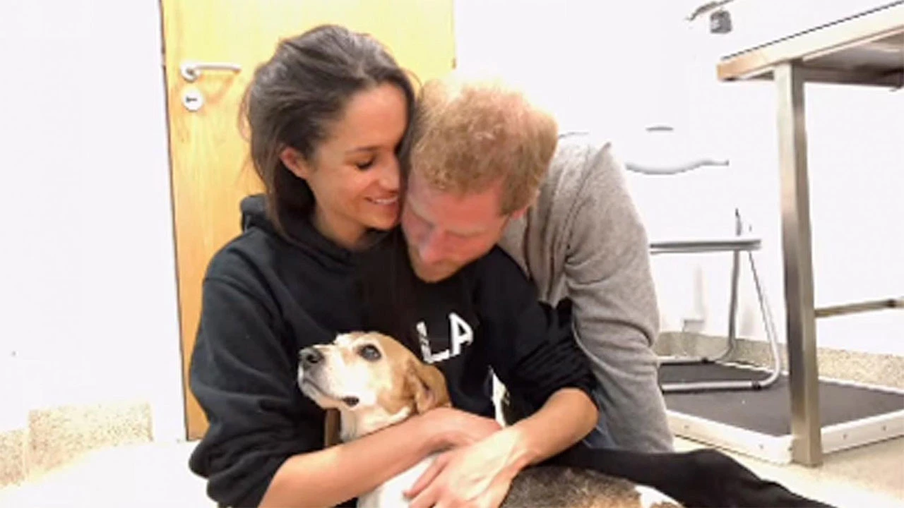 Meghan Markle shrvana gubitkom: ''Isplakala sam previše suza''