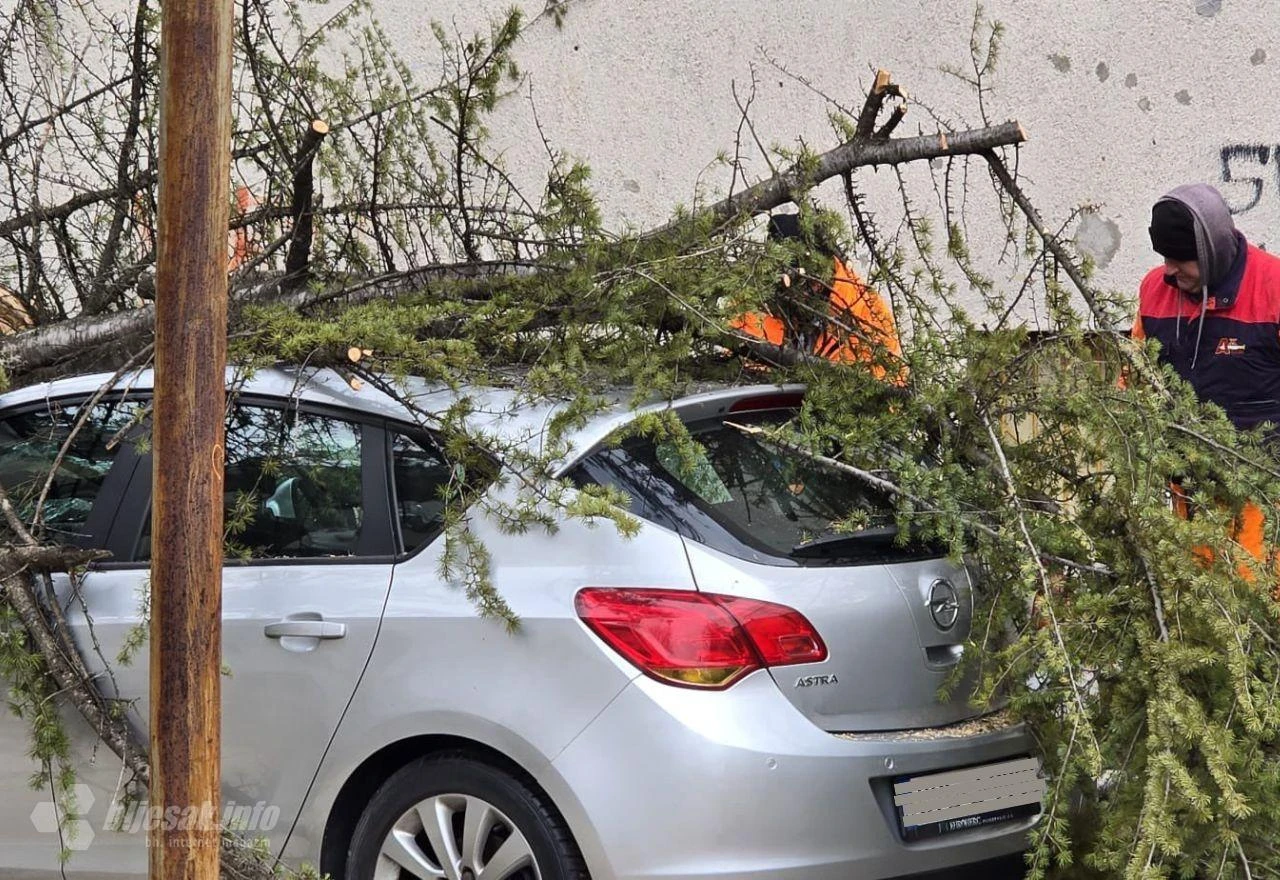 Mostar: Stablo palo na parkirani automobil