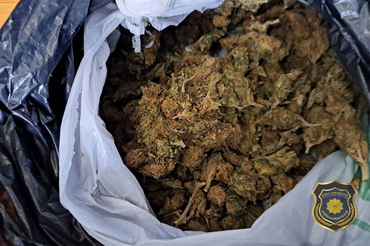 FUP: Pronađena droga, jedna osoba lišena slobode
