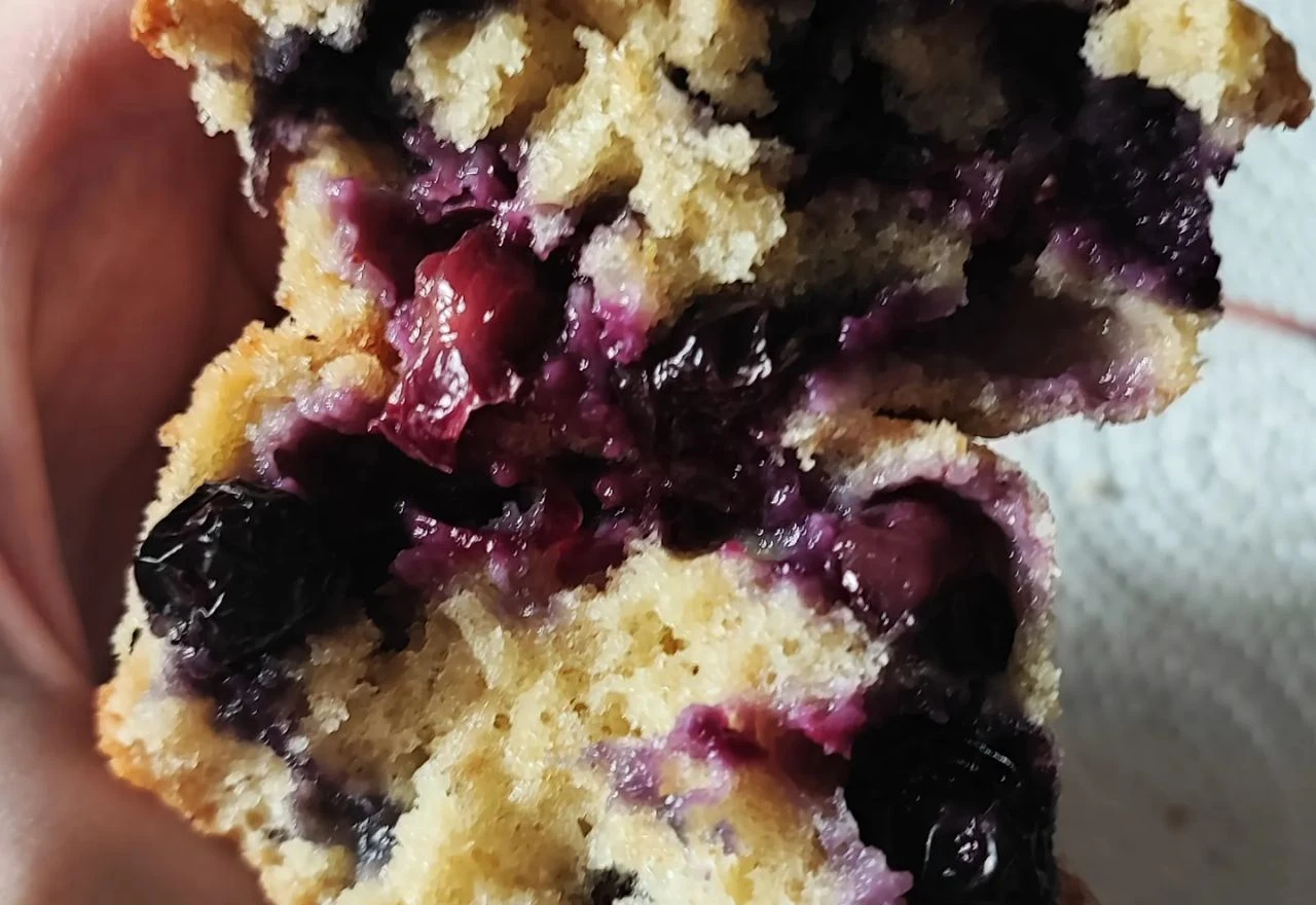 Imamo recept za ukusne muffine od borovnica i zobenih pahuljica