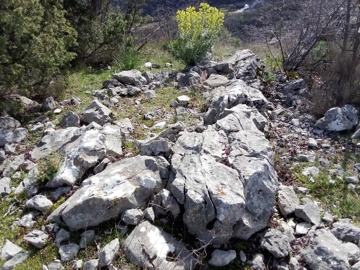 U Čitluku predstavljeno otkriće prapovijesne ceste stare 4000 godina 