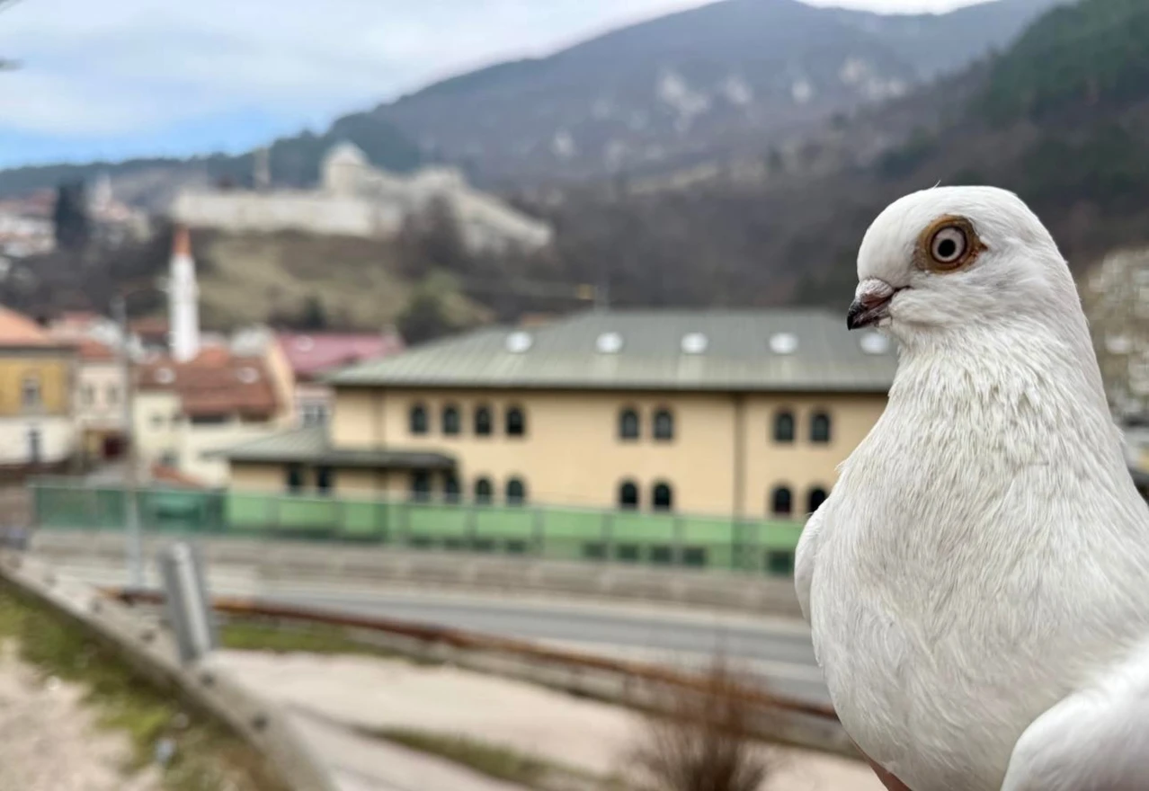 Travnik odlučio zaštititi svoju autohtonu vrstu
