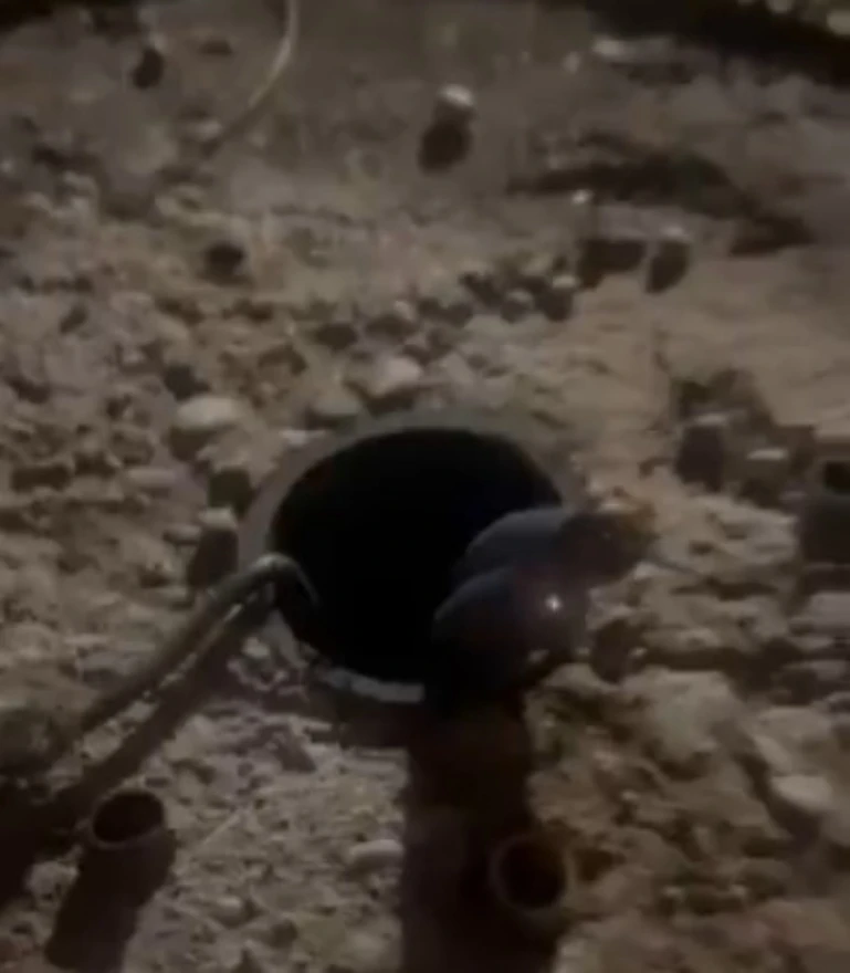VIDEO: Živa struja u parku Zrinjevac