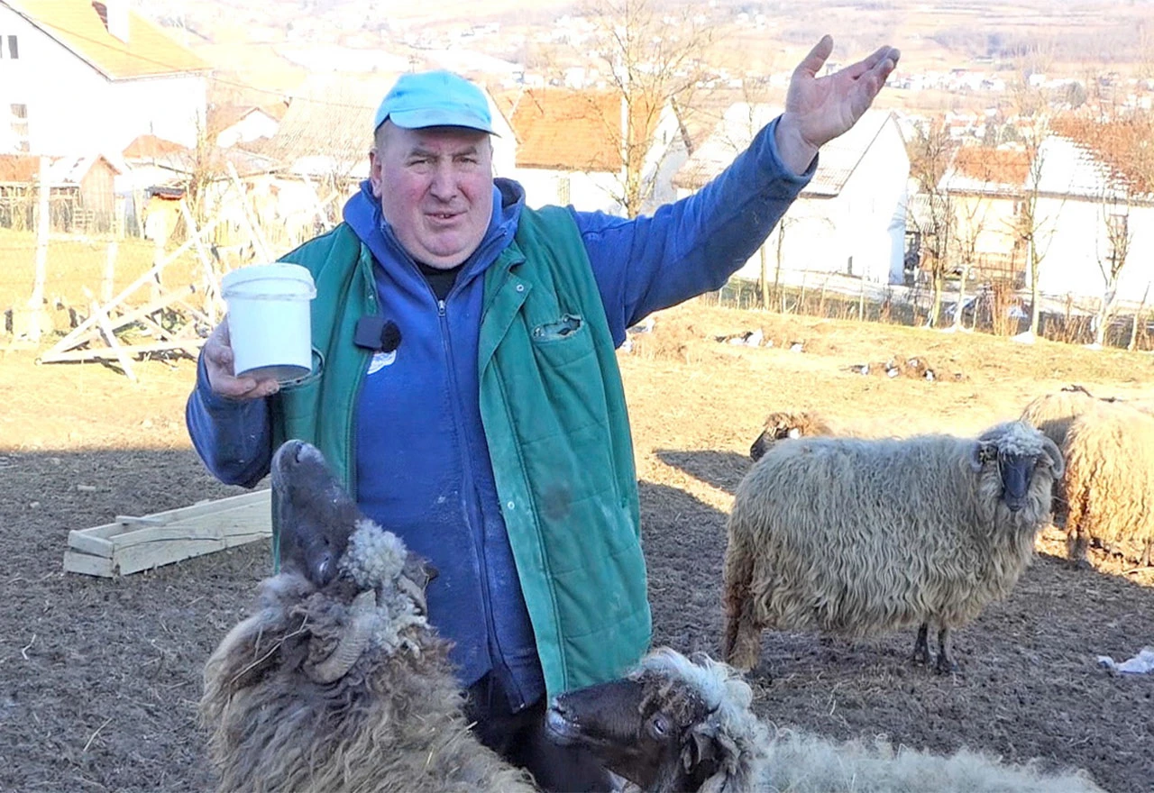 VIDEO | Ovako ja čuvam stado, ne bojim se ni lutalica, ni vuka a ni medvjeda