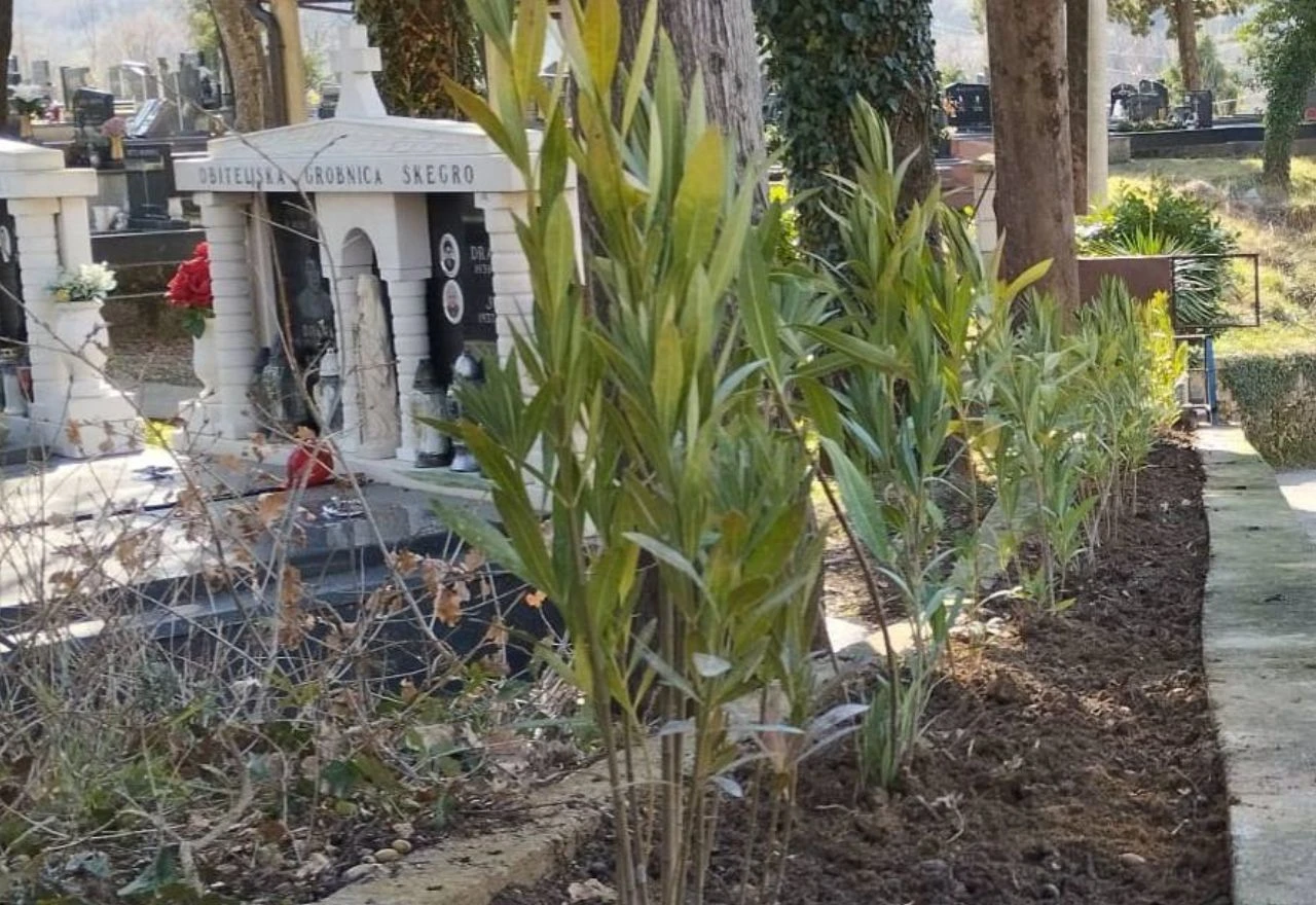 Vrijedni mještani Ilića uljepšali groblje Kolenje novim biljkama