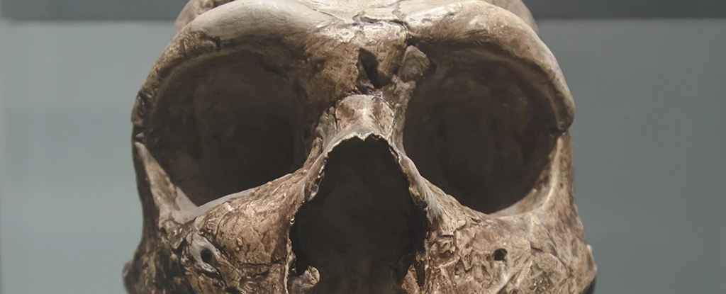 Fosili iz Krapine otkrivaju novu tajnu o izumiranju neandertalaca