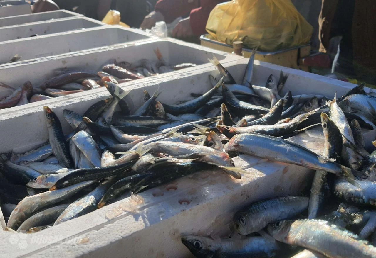 Živo na mostarskoj tržnici: Kupuje se riba, stigle i prve kuke