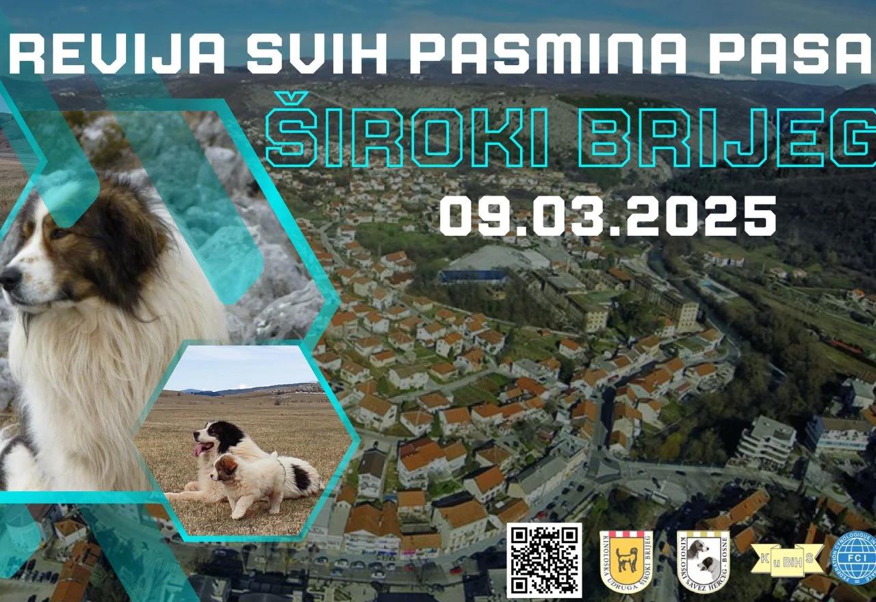 Široki Brijeg: Revija svih pasmina pasa
