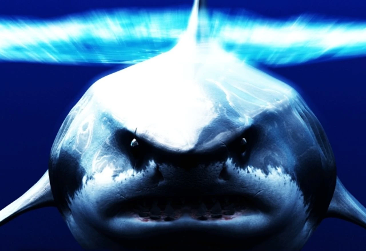 Megalodon: Znanstvenici otkrili kako je izgledao najveći morski pas ikada