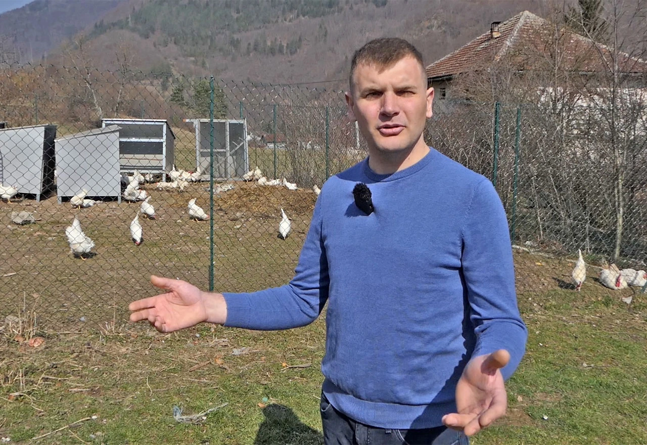 VIDEO | On je kralj pilića, pravi inkubatore koji su najtraženiji