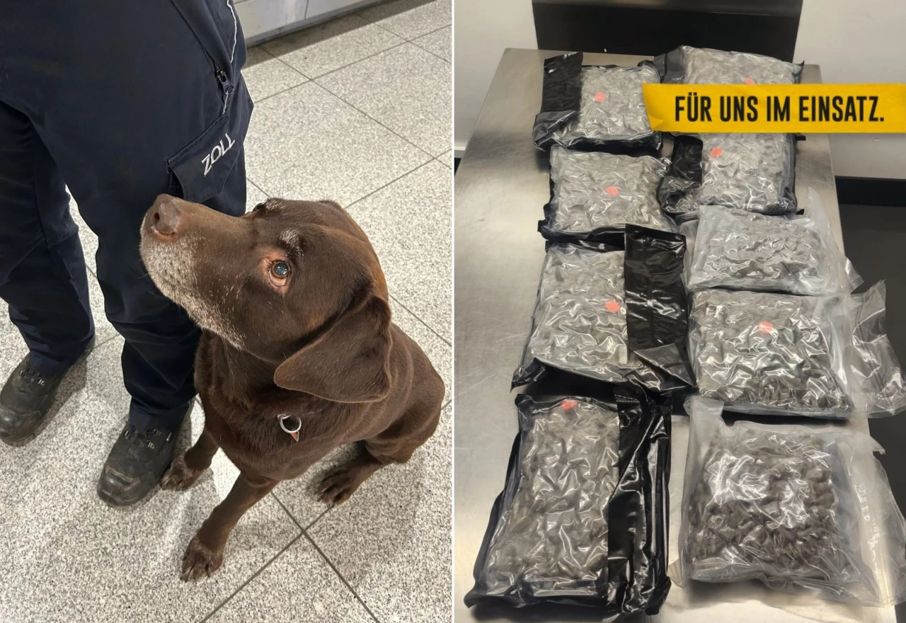 Državljanin BiH u Njemačku pokušao unijeti 5,3 kg marihuane 