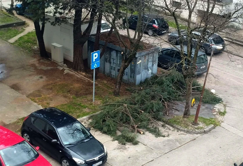 Osjetljivi Mostar: Služba otpilila grane pa danima blokira parking invalidu
