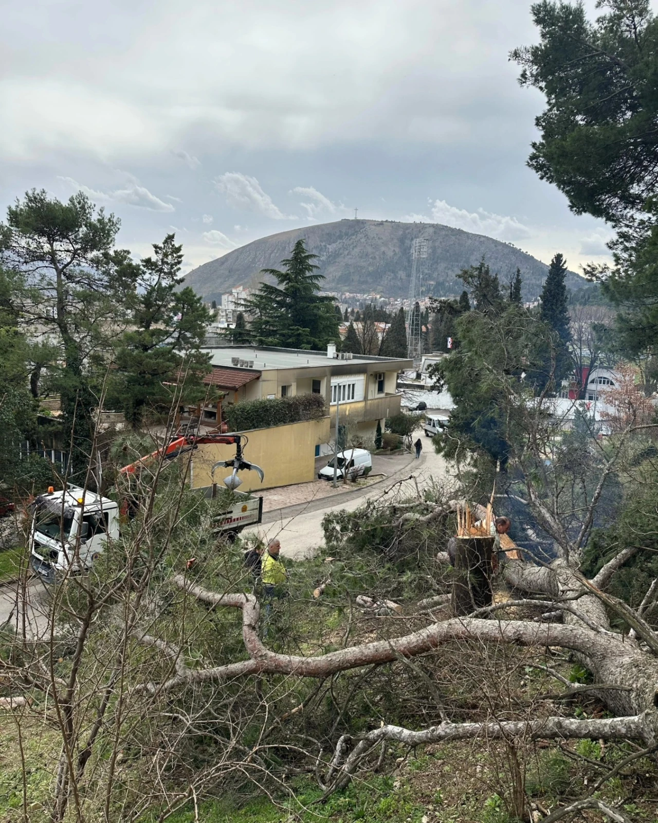 Provjerili smo tko i zašto siječe šumu na Bijelom brijegu