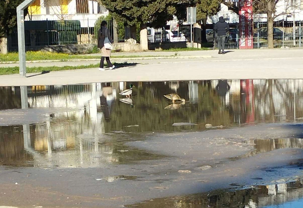 Mostar: Patke na Vojničkom igralištu