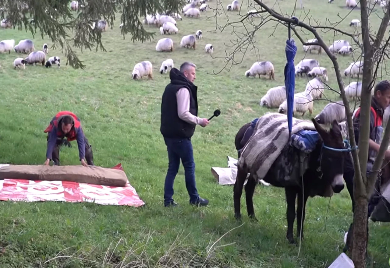 VIDEO | Kiša, sunce, vukovi: Priča o poslijednjim bosanskim nomadima