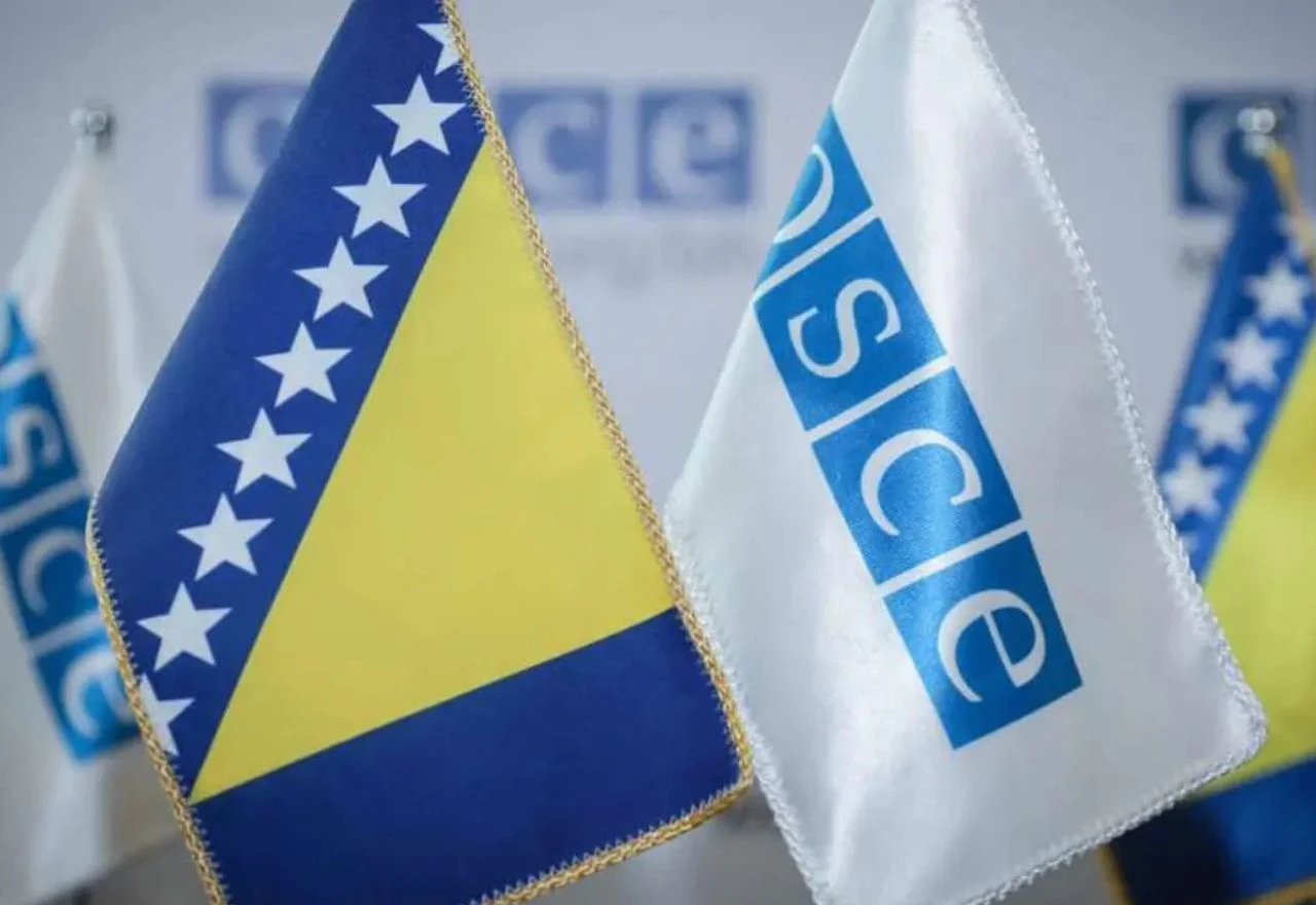 Predstavljen godišnji izvještaj: Ambasadori podržali i pohvalili rad OSCE-a u BiH