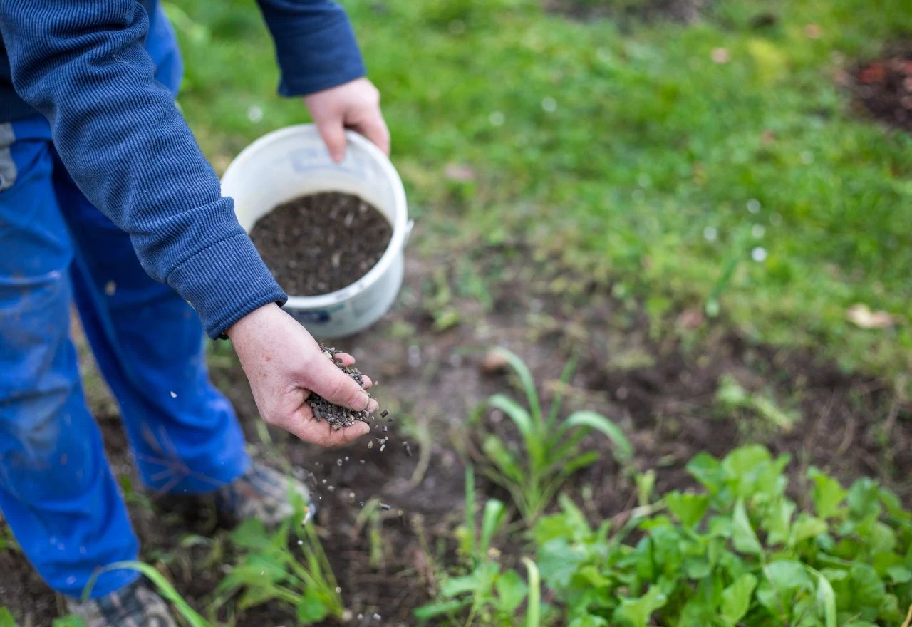 Evo što trebate znati prije nego što iskoristite gnojivo: 6 vrsta i njihova prava primjena