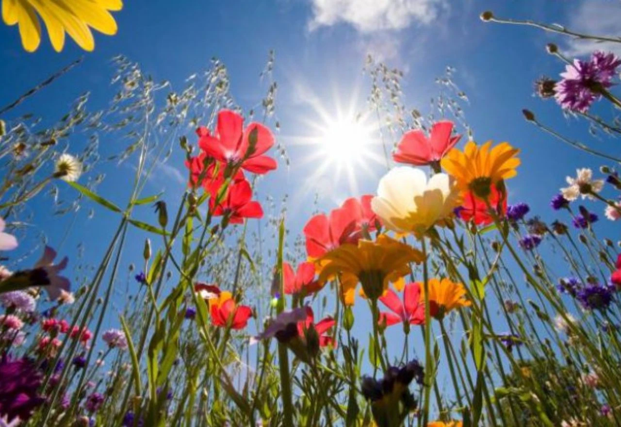 Vikend donosi proljetno sunce i više temperature