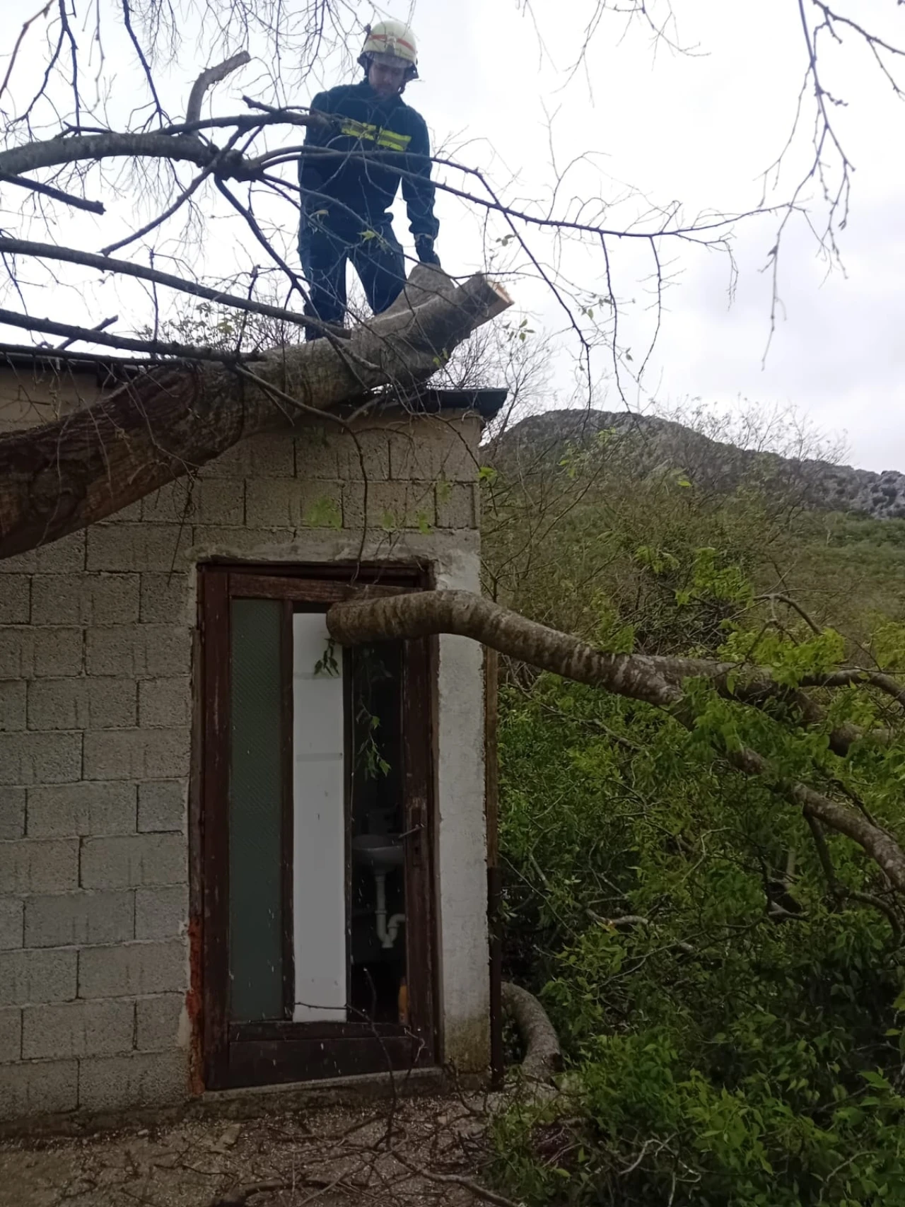 FOTO | Neum: Velika grana pala na krov kuće