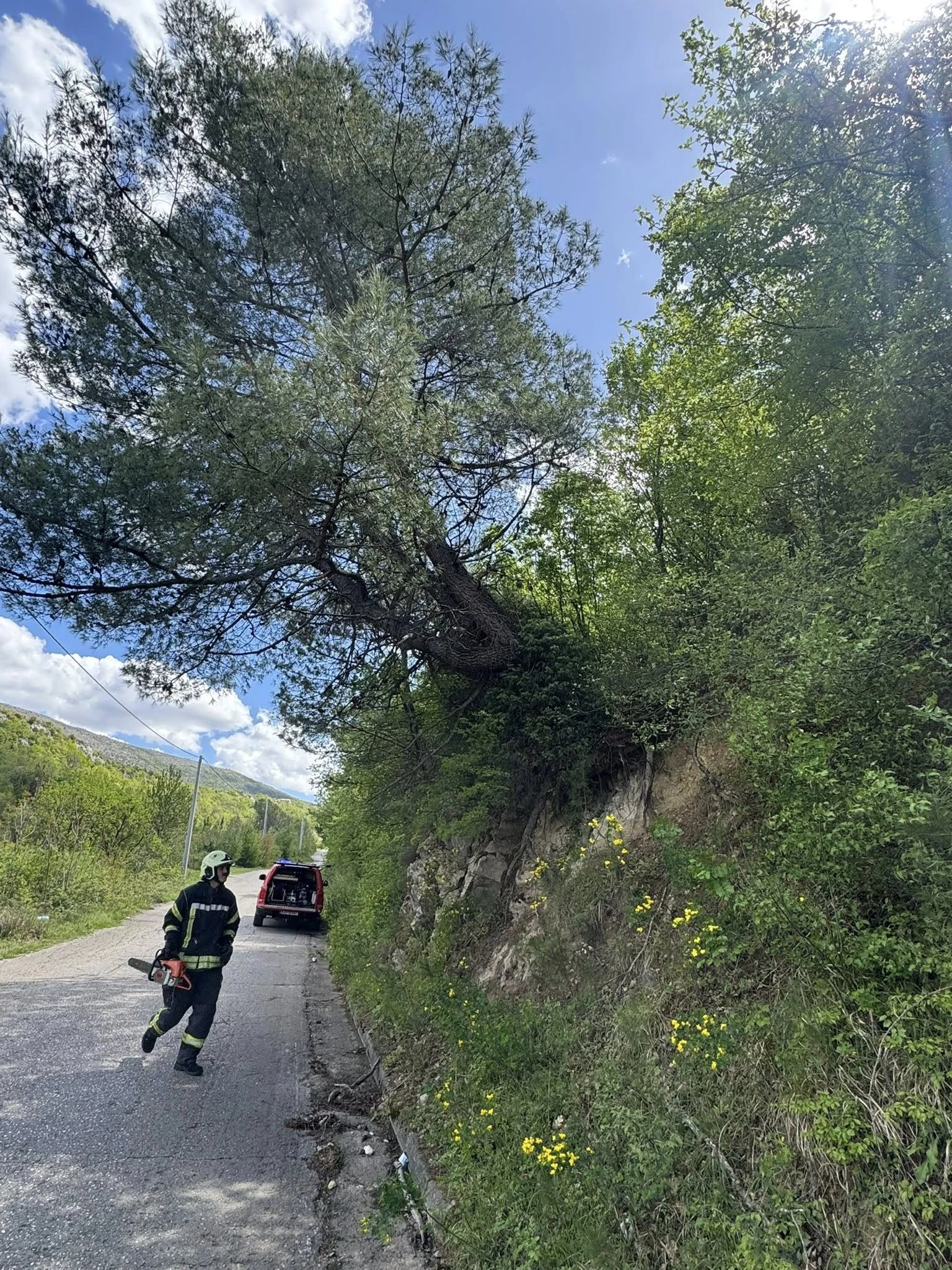 Mostarski vatrogasci uklonili opasna stabla na putu za Vranjeviće